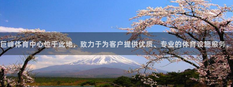 巨峰体育中心位于此地，致力于为客户提供优质、专业的体育设施服务。