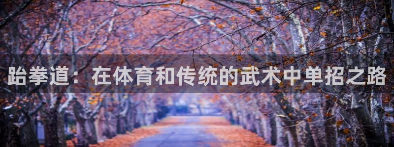 跆拳道：在体育和传统的武术中单招之路