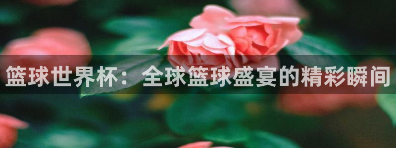 篮球世界杯：全球篮球盛宴的精彩瞬间