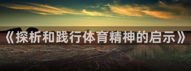 《探析和践行体育精神的启示》