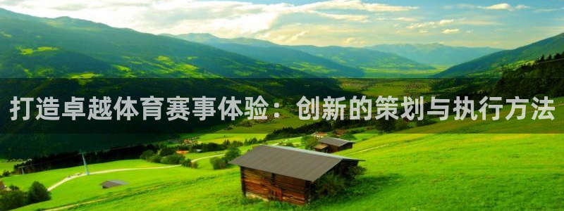 u球体育app官方下载：打造卓越体育赛事体验：创新的策划与执行方法
