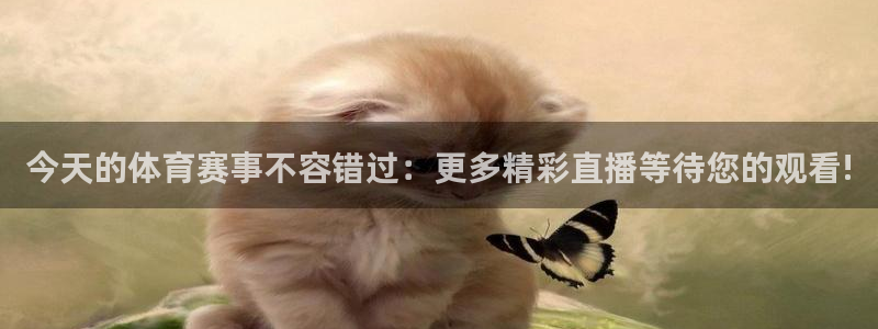 u球直播
