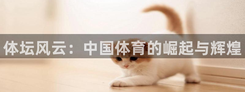 u球官网下载入口