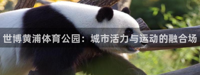 u球直播安卓版下载：世博黄浦体育公园：城市活力与运动的融合场
