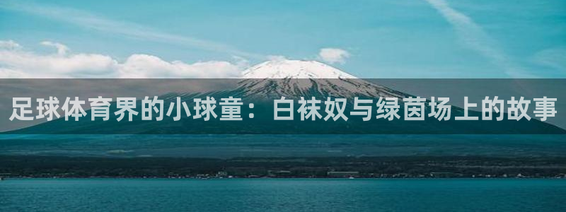 u球官网下载入口