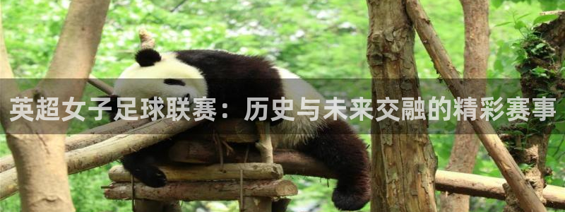 u球直播app下载：英超女子足球联赛：历史与未来交融的精彩赛事