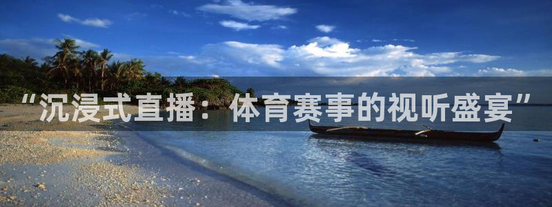 u球体育直播平台：“沉浸式直播：体育赛事